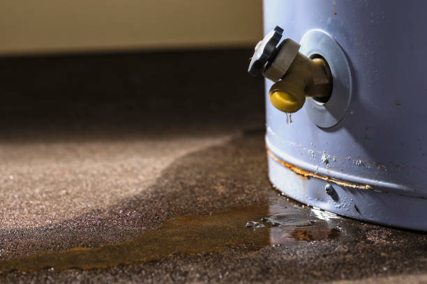 Best Residential water damage restoration  in Horse Pasture, VA