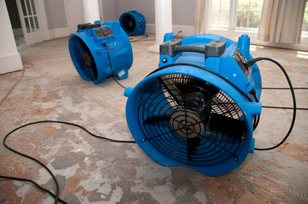 Best Fire Damage Restoration  in Horse Pasture, VA