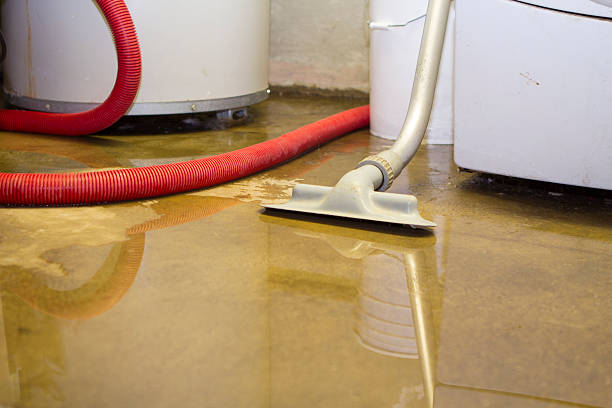 Best Emergency water damage restoration  in Horse Pasture, VA