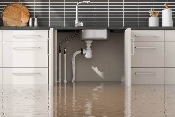 Best 24/7 water damage repair  in Horse Pasture, VA