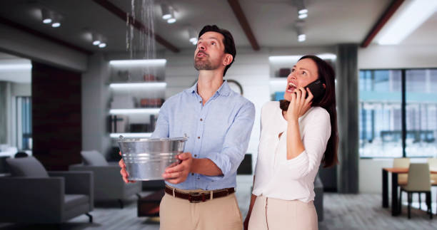 Best Water damage restoration cost  in Horse Pasture, VA