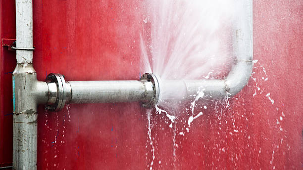 Best Flood restoration services  in Horse Pasture, VA